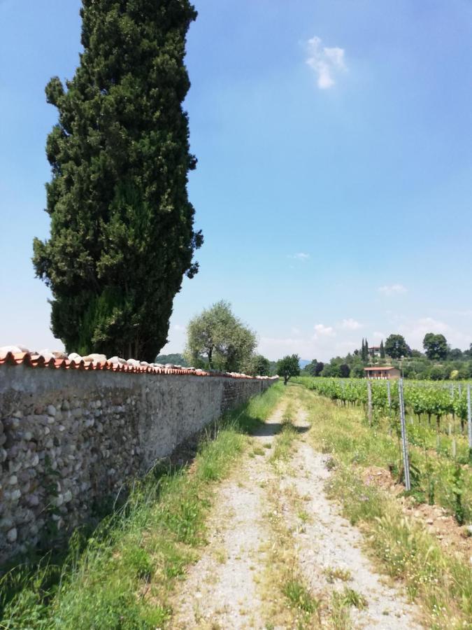 Apartmán Franciacorta Flat & Bollicine Passirano Exteriér fotografie